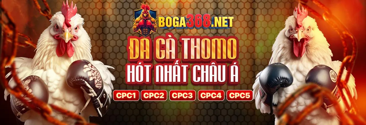 Đá Gà Trực Tuyến we88 chính thức